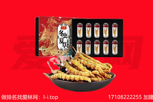 阿克苏地区库车市回收虫草.jpg